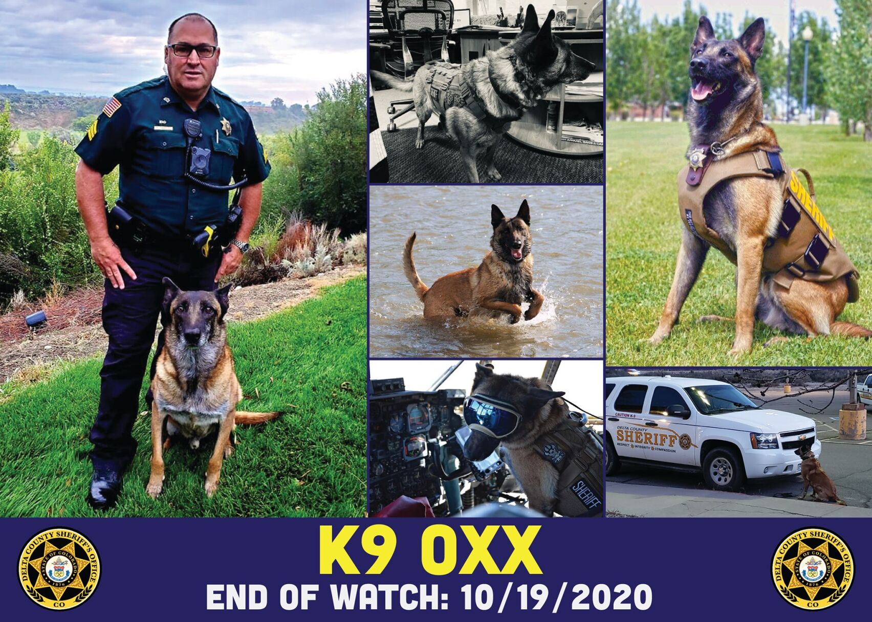 Agencies bid farewell to popular police K9
